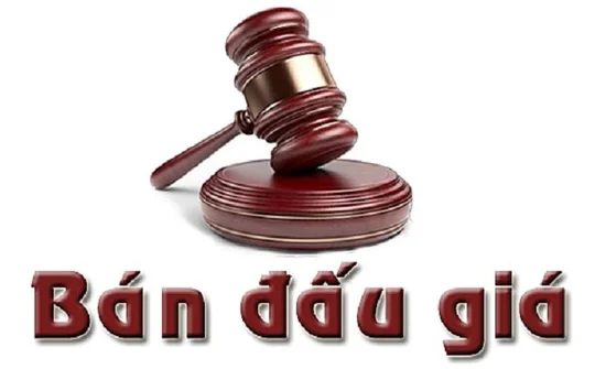 Sửa quy định bán đấu giá tài sản thi hành án