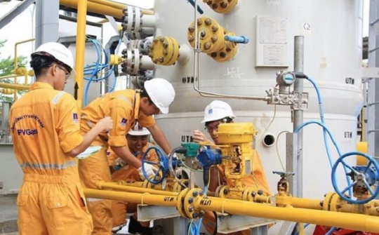 Chiến lược "kép" giúp doanh nghiệp hạn chế phụ thuộc nguyên liệu