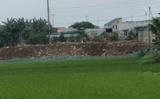 Tĩnh Gia: Cần quản lý chặt chẽ đất công tại xã Tùng Lâm