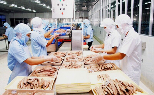 Doanh nghiệp Việt xuất khẩu cá ngừ sang Ý được đón nhận một cách tích cực