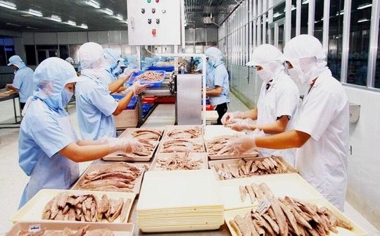 Doanh nghiệp Việt xuất khẩu cá ngừ sang Ý được đón nhận một cách tích cực