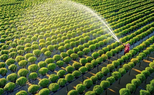 Để thị trường bất động sản nông nghiệp Việt Nam phát triển bền vững