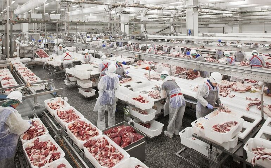 Gần 1.500 tấn thịt lợn Nga đã về đến Việt Nam