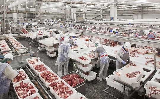 Gần 1.500 tấn thịt lợn Nga đã về đến Việt Nam