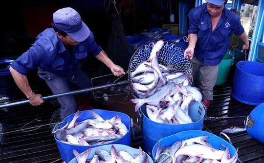 Cùng doanh nghiệp cá tra tạo cơ hội mở rộng, tìm kiếm thị trường mới