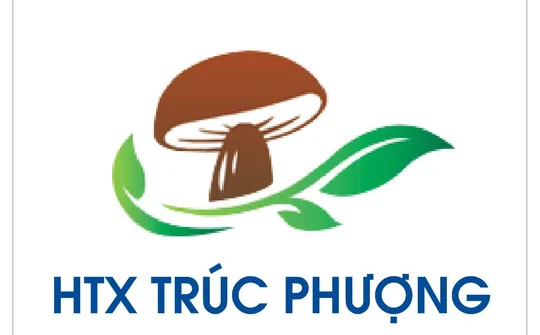 Sạch, chất lượng làm nên thương hiệu nấm Yên Thọ
