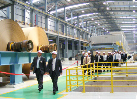 Ngành giấy phát triển bền vững từ 3 trụ cột