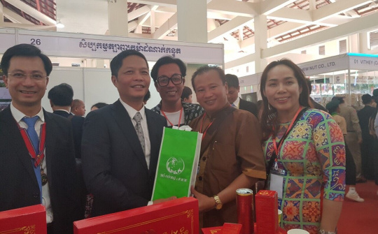 Công ty TNHH Phát triển P&K - Trà bồ công anh: Thương hiệu tiêu biểu thời kỳ hội nhập