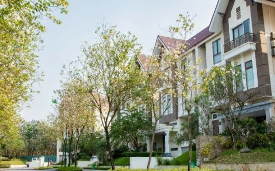 Ngỡ ngàng hương sắc tháng ba tại Ciputra Hanoi