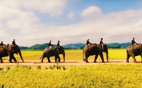Về nơi Hồ Lăk - Buôn Yun