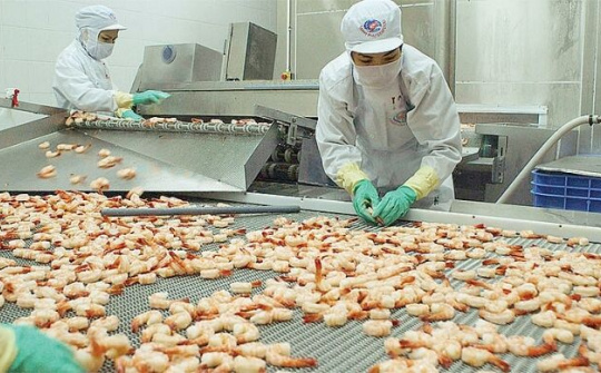 Xuất khẩu tôm có chuyển biến tích cực trong lúc dịch bệnh