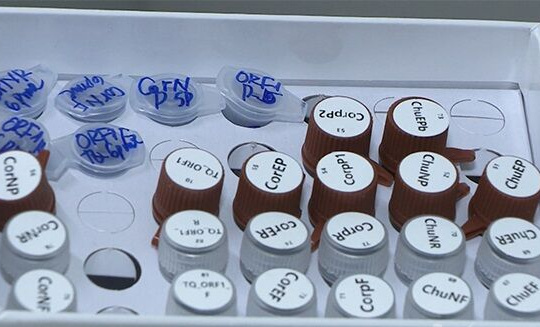 Việt Nam áp dụng công nghệ chế tạo thành công bộ KIT phát hiện virus SARS-COV-2