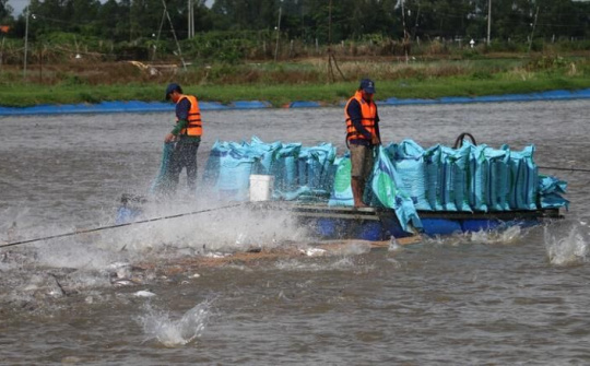 An Giang: Tìm giải pháp hỗ trợ doanh nghiệp tiêu thụ và xuất khẩu sản phẩm nông-thủy sản