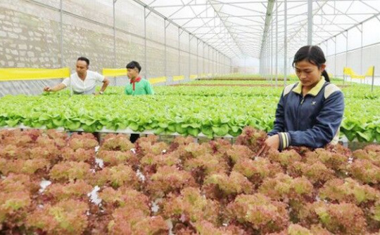 Quảng bá và xây dựng thương hiệu Việt