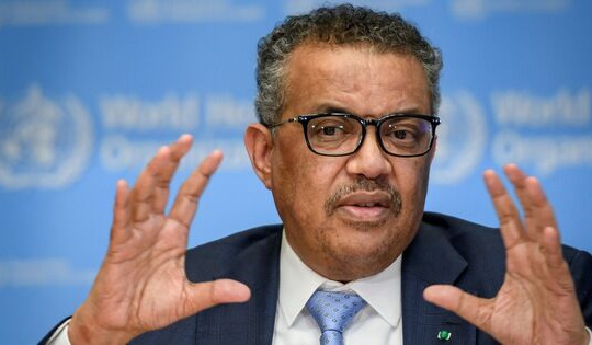 Tổng giám đốc WHO: 'Đây là lúc dồn hết sức lực và không được phép đầu hàng!'