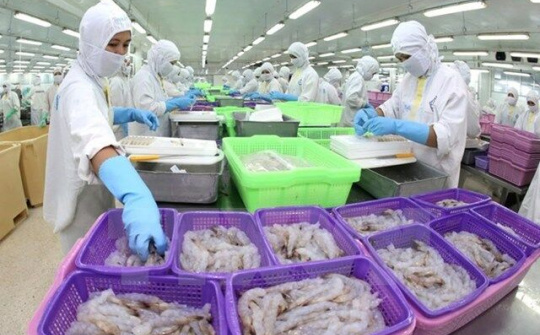 EVFTA là Cơ hội mở cửa thị trường mới đầy khó khăn nhưng sẽ minh bạch