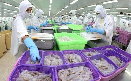EVFTA là Cơ hội mở cửa thị trường mới đầy khó khăn nhưng sẽ minh bạch