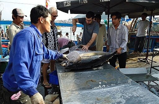 Nhật Bản ưa chuộng cá ngừ Việt Nam xuất khẩu sang