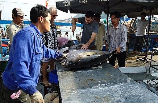 Nhật Bản ưa chuộng cá ngừ Việt Nam xuất khẩu sang