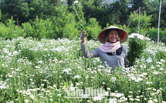 Hỗ trợ hội viên phụ nữ phát triển kinh tế, giảm nghèo bền vững