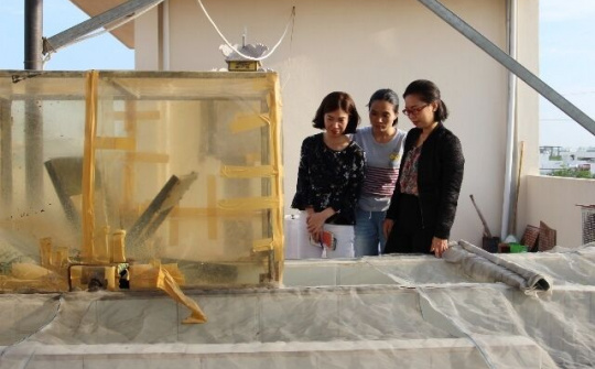 Xây dựng thương hiệu tảo Việt