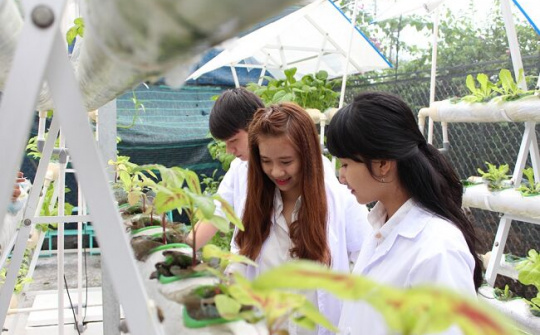 Đẩy mạnh kiểm định chương trình đào tạo