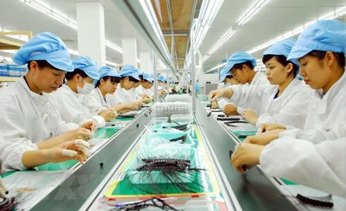 Khai thác thị trường lao động Việt Nam sau khi EVFTA có hiệu lực