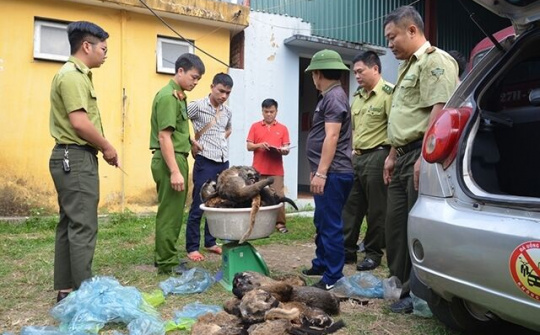 Thủ tướng yêu cầu soạn thảo chỉ thị nghiêm cấm buôn bán, tiêu thụ động vật hoang dã