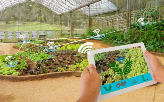 Cách mạng hóa ngành nông nghiệp bằng công nghệ 5G
