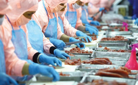 Dự báo nửa năm đầu 2020 kinh tế ngành thủy sản sẽ chững lại