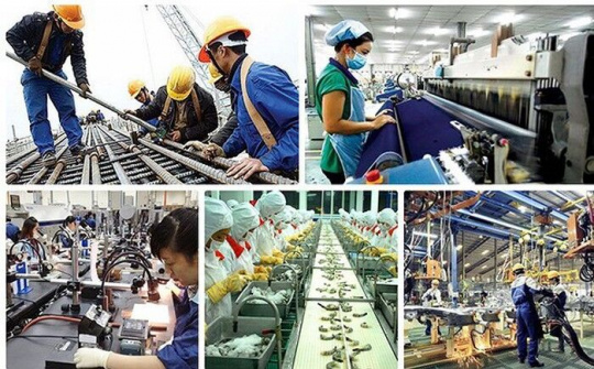 Sự ứng phó và nỗ lực sẽ đưa nền kinh tế vực dậy sau đại dịch