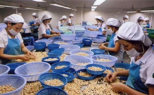 Kim ngạch xuất khẩu nông, lâm, thủy sản ước tính đạt khoảng 9,06 tỷ USD trong quý đầu năm