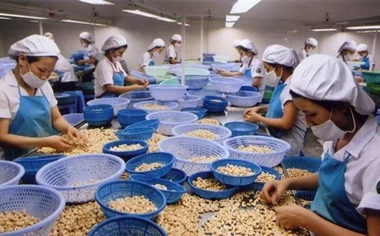 Kim ngạch xuất khẩu nông, lâm, thủy sản ước tính đạt khoảng 9,06 tỷ USD trong quý đầu năm
