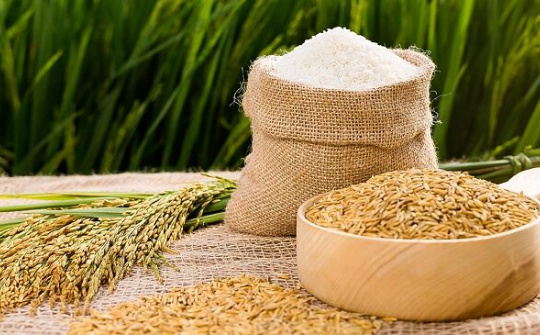 Tạm dừng xuất khẩu gạo tẻ