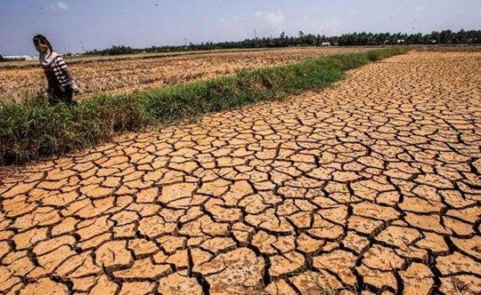 Đồng bằng sông Cửu Long đối mặt với cơn khát nước lịch sử