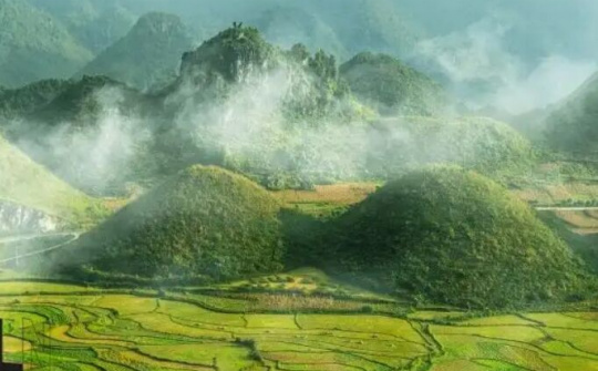 Khởi nghiệp từ trồng rau Ngũ Da Bì của chàng trai miền núi