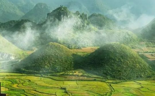 Khởi nghiệp từ trồng rau Ngũ Da Bì của chàng trai miền núi
