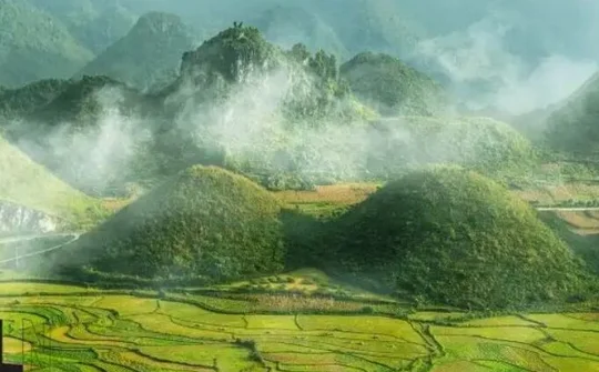 Khởi nghiệp từ trồng rau Ngũ Da Bì của chàng trai miền núi