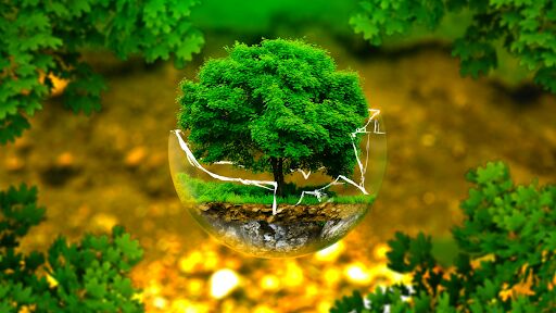 Bài học về bảo vệ môi trường