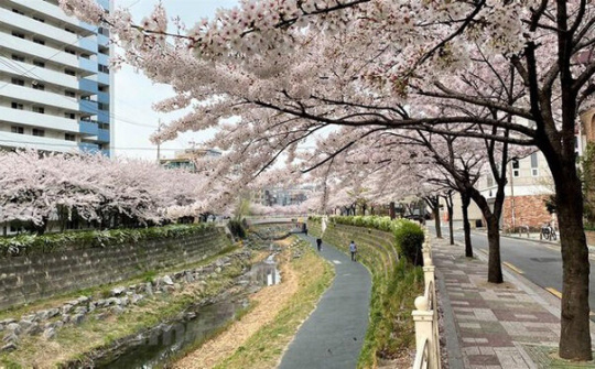 Du lịch thế giới chuyển hướng trong đại dịch Covid-19