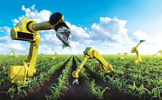 Quy định quản lý hoạt động khoa học và công nghệ ngành nông nghiệp