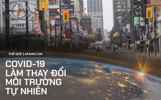 Đại dịch Covid-19: Cơ hội hay mối nguy cho môi trường?