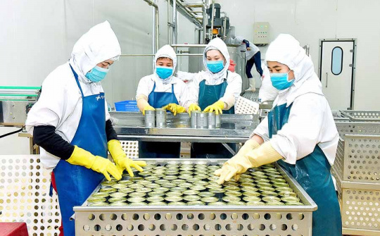 Gia Lai: Đề nghị Ngân hàng Nhà nước tỉnh tháo gỡ khó khăn do tác động của đại dịch