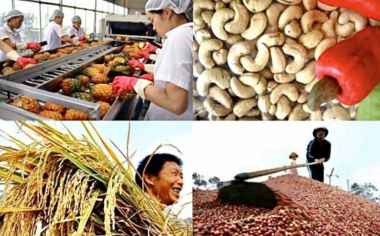 Thúc đẩy xuất khẩu nông sản bền vững trong bối cảnh hội nhập quốc tế