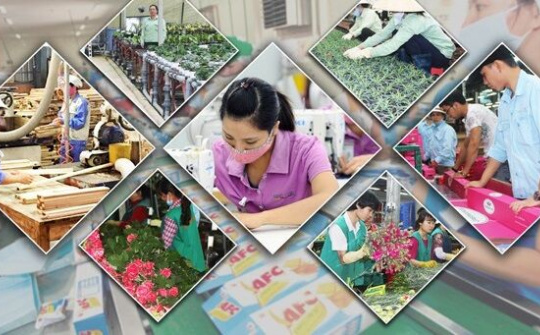 Cần giải pháp gia tăng “độ đàn hồi” cho nền kinh tế