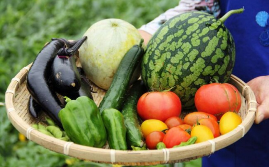 Thêm giải pháp nâng cao giá trị nông sản Việt