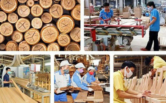 Từng bước vực dậy ngành xuất khẩu gỗ
