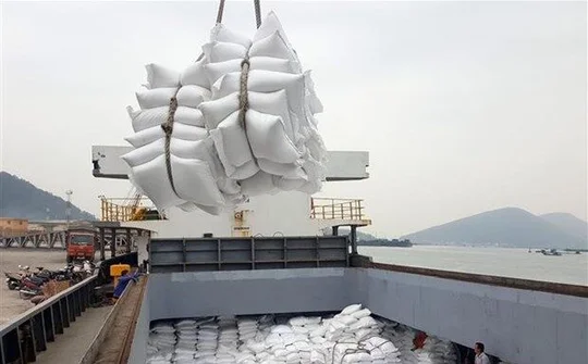 Cần gỡ khó cho Doanh nghiệp khi Hải quan mở tờ khai xuất khẩu gạo lúc 0 giờ