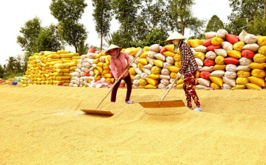 Nếu không đẩy mạnh xuất khẩu thì sẽ dẫn đến tình trạng các mùa vụ chồng chéo nhau