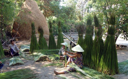 Nghề dệt chiếu làng Thạch Tân (Tam Kỳ)